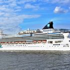 NORWEGIAN JADE