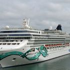 Norwegian Jade