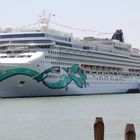 Norwegian Jade