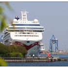 Norwegian Jewel im Hafen von Kopenhagen