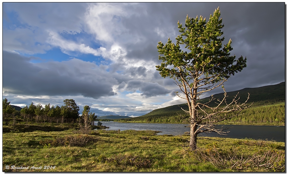 norwegian midsummer night