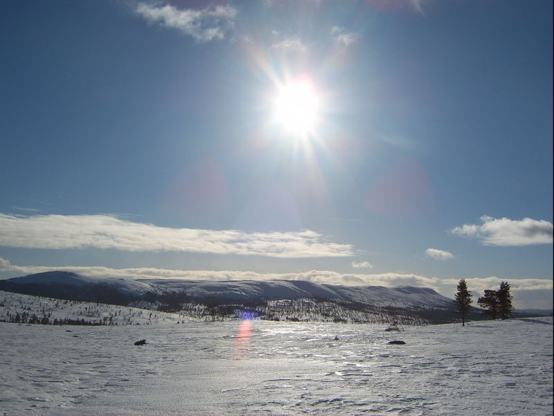 Norwegian Mountains