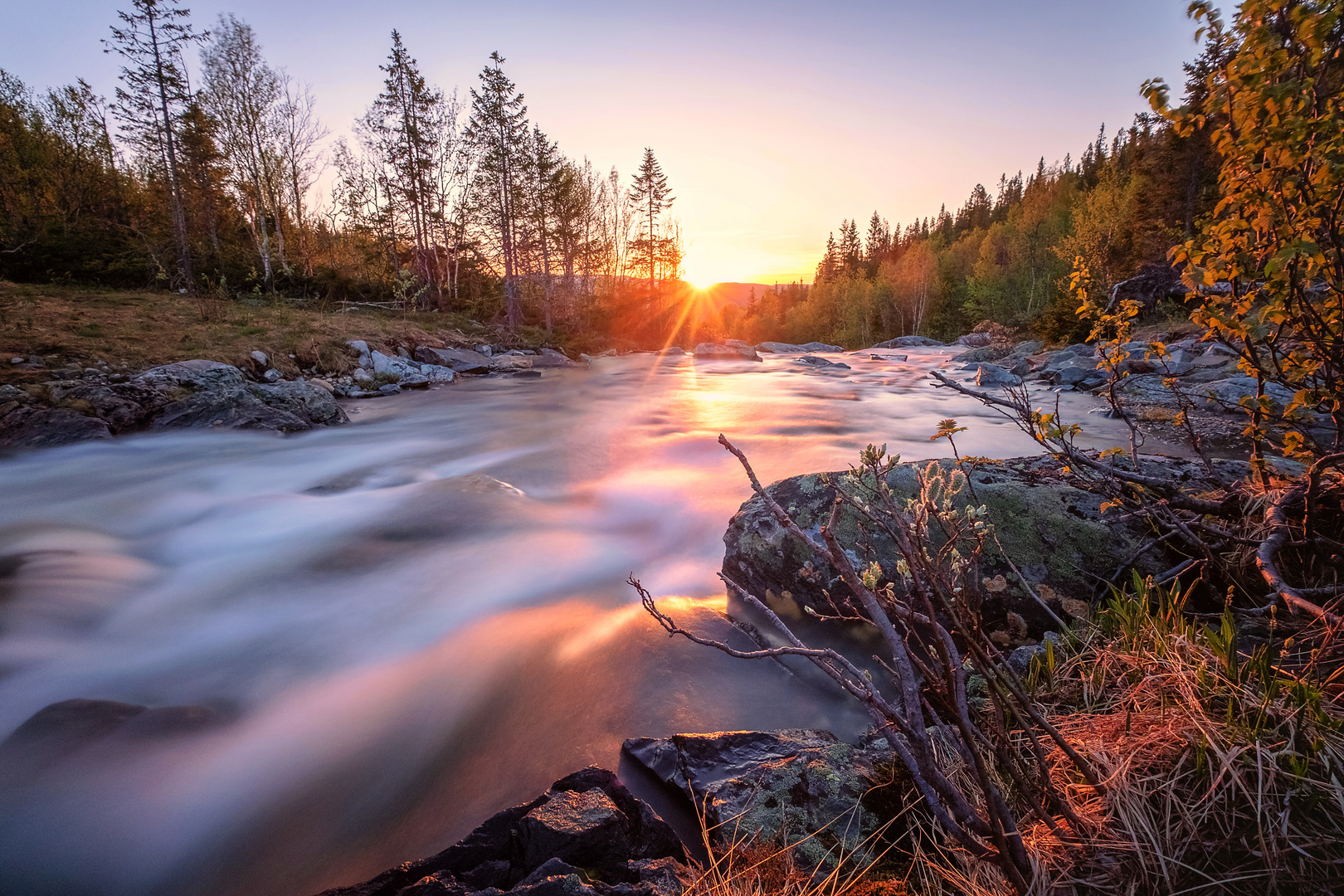 Norwegian Sunset