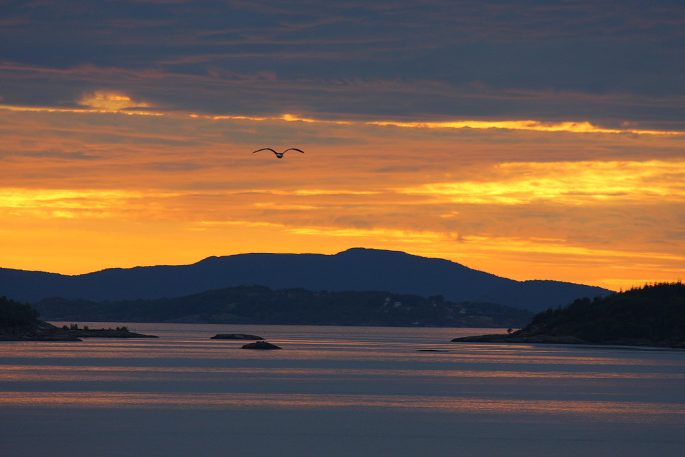 Norwegian Sunset