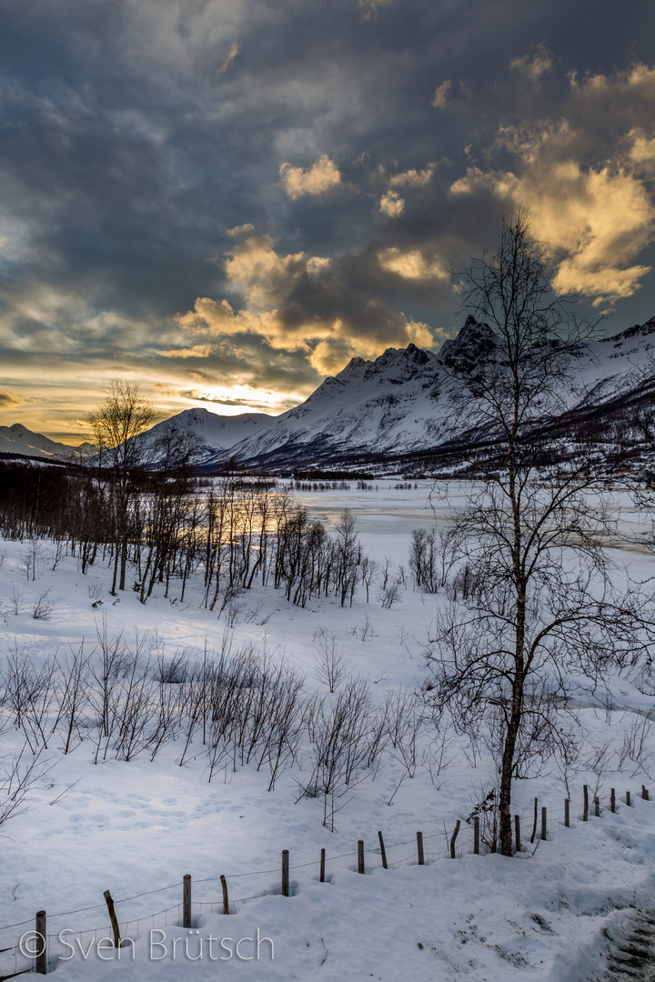 Norwegian Winter Land