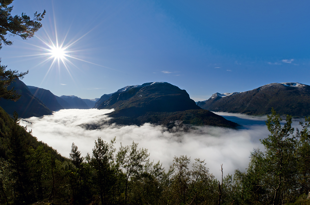 norwegian woods