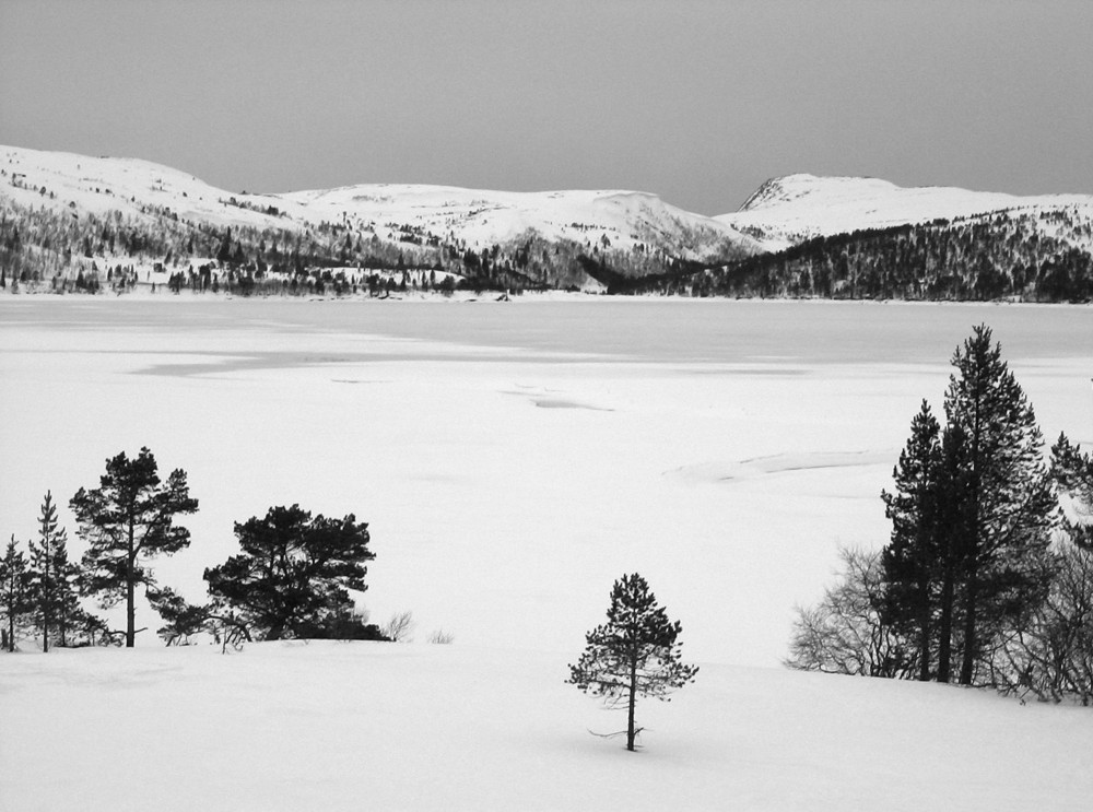 Norwegische Einsamkeit