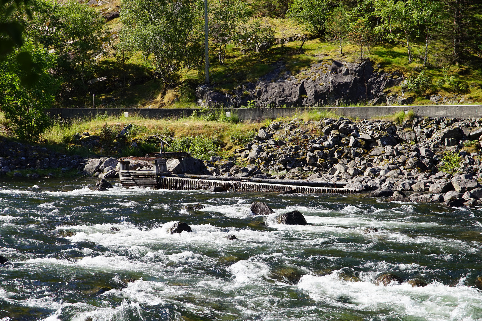 Norwegische Lachsfalle