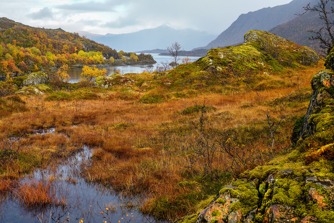 Norwegischer Herbst