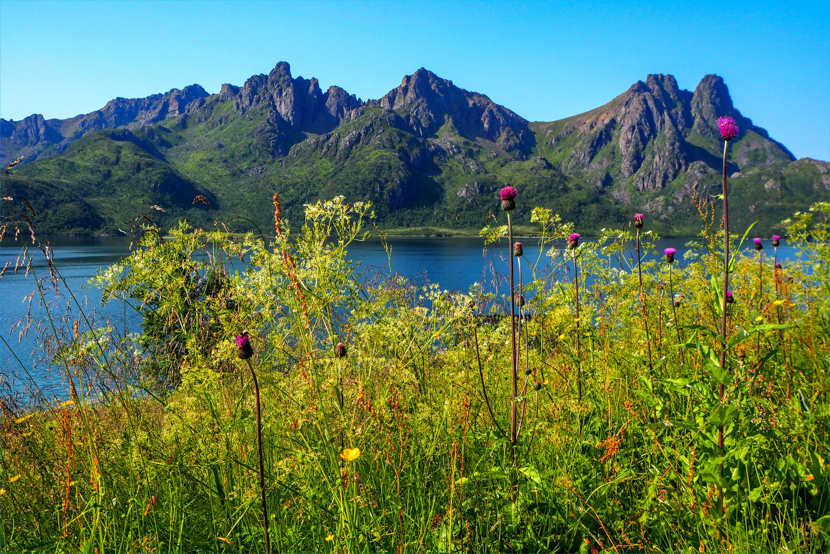 Norwegischer Sommer