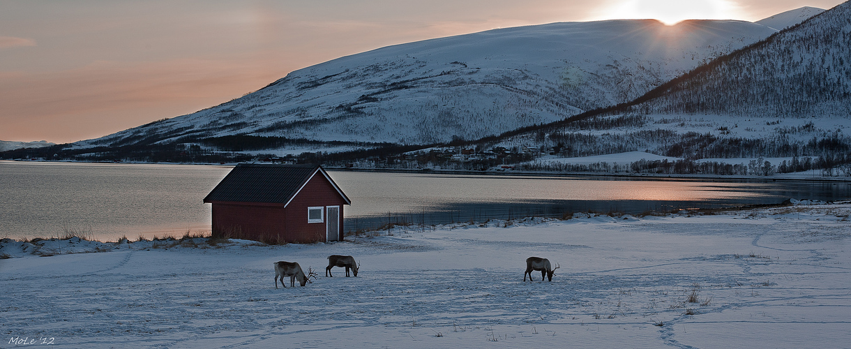 Norwegisches Abendidyll