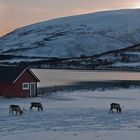 Norwegisches Abendidyll