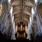 Norwich Cathedral