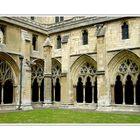 Norwich - The Cloister