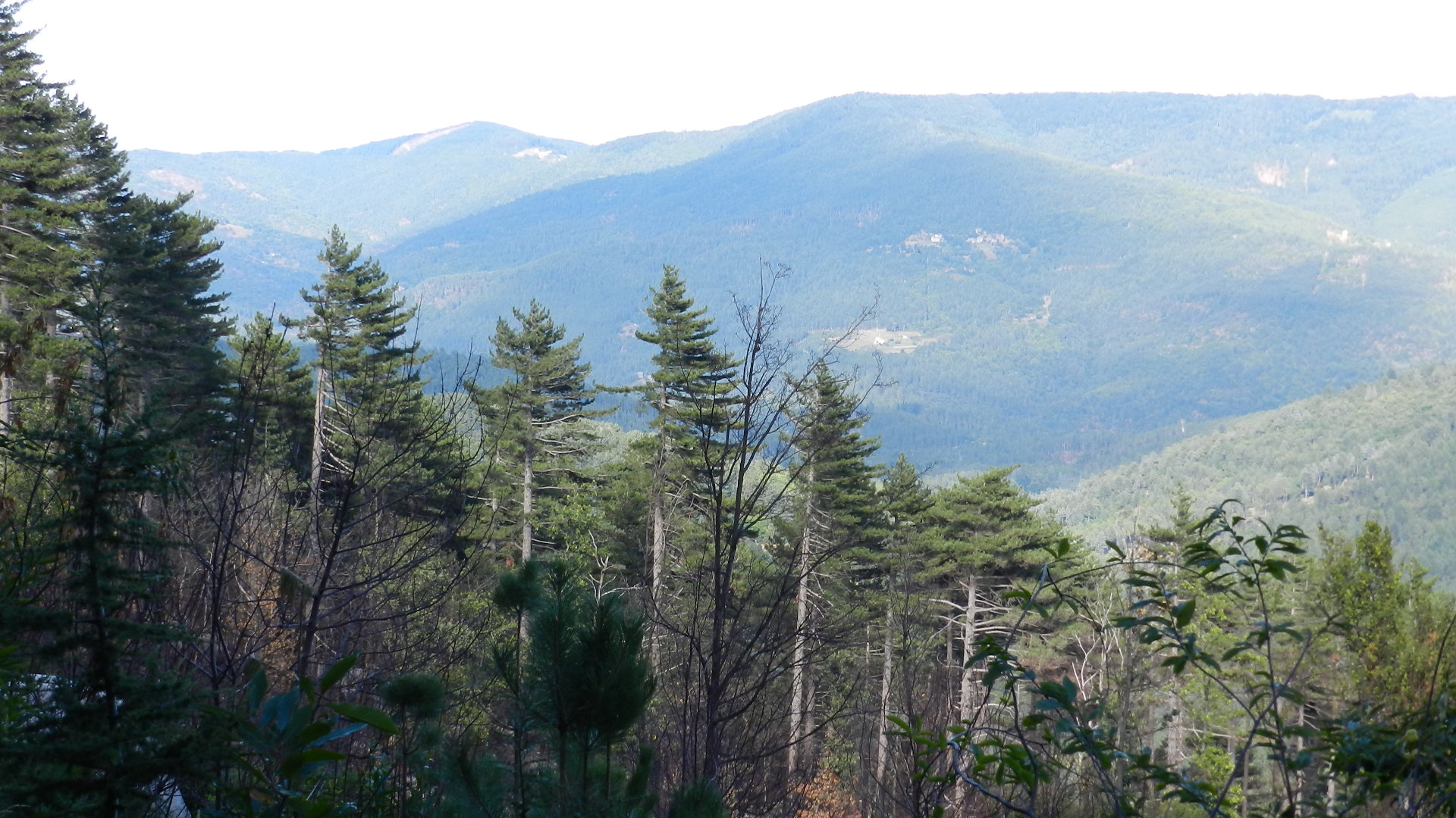 Nos belles Cévennes