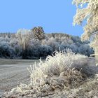 Nos hivers d'antan