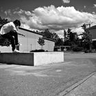 noseblunt