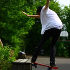 Noseslide