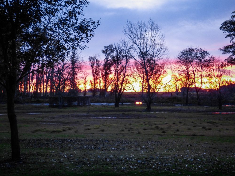 Nostalgia de una tarde de invierno