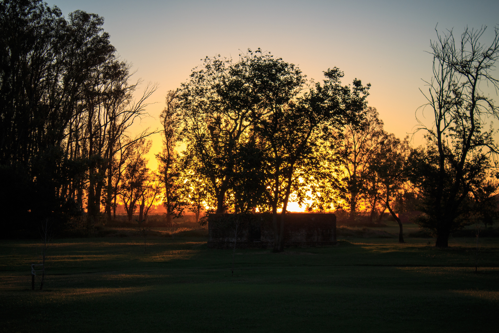 Nostalgia de una tarde de otoño