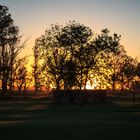 Nostalgia de una tarde de otoño