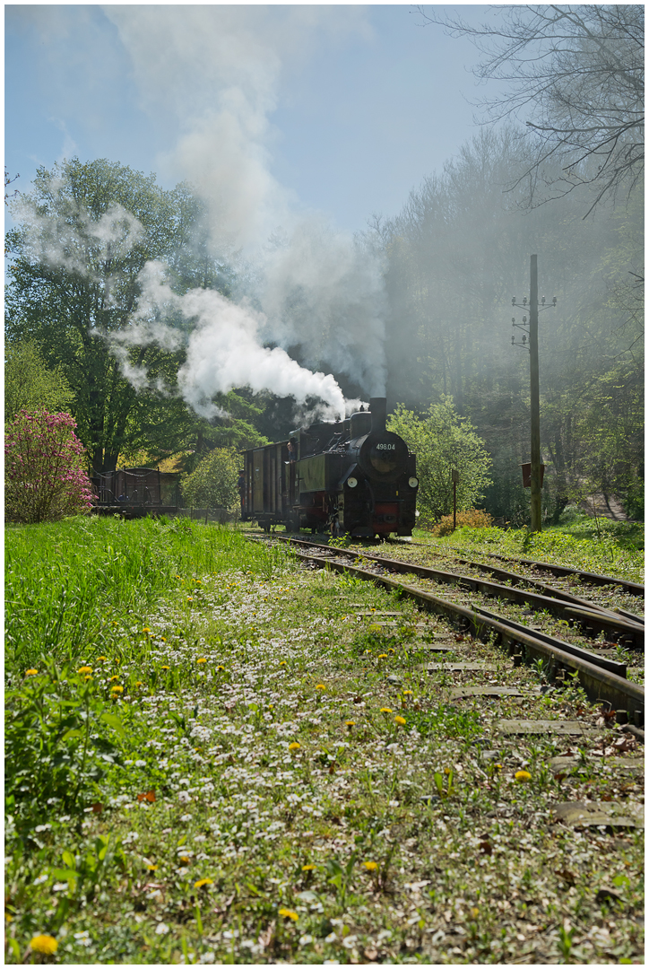 Nostalgie an der Steyr XXVIII