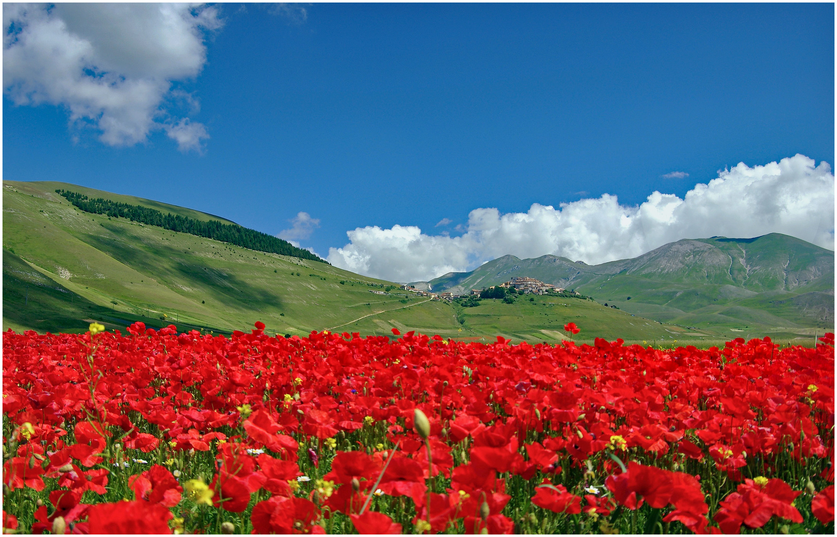 nostalgie  de Castelluccio de norcia...