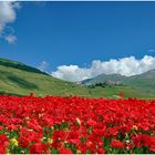 nostalgie  de Castelluccio de norcia...