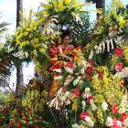 Nostalgie de la liesse autour des carnavals