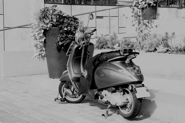 Nostalgie du 2 roues type Vespa