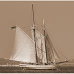 Nostalgie -- Elbe 5 --, gebaut Anno 1883