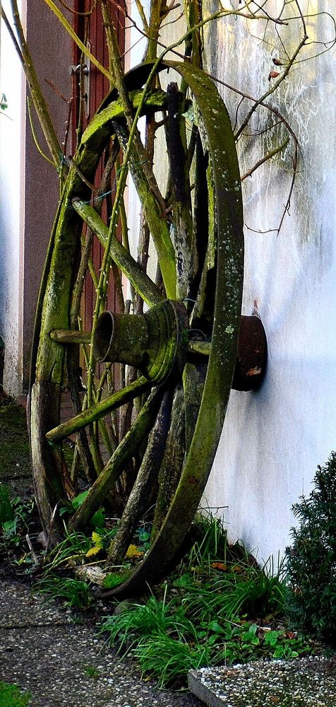 Nostalgie Im Garten Foto Bild Natur Youth Bilder Auf