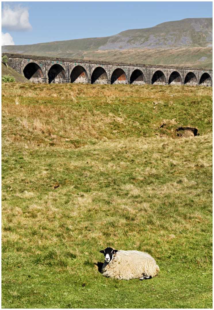 Nostalgie in England XCVI