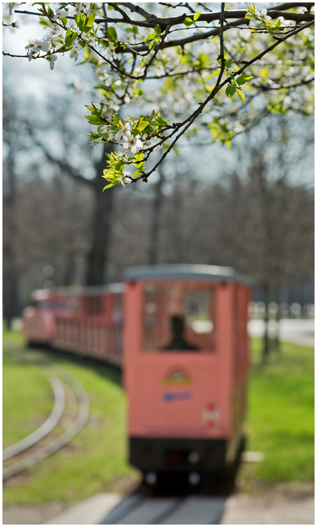 Nostalgie in Wien VIII