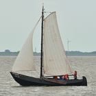 Nostalgie-Segeln mit Plattbodenschiff auf dem Wattenmeer von Norderney