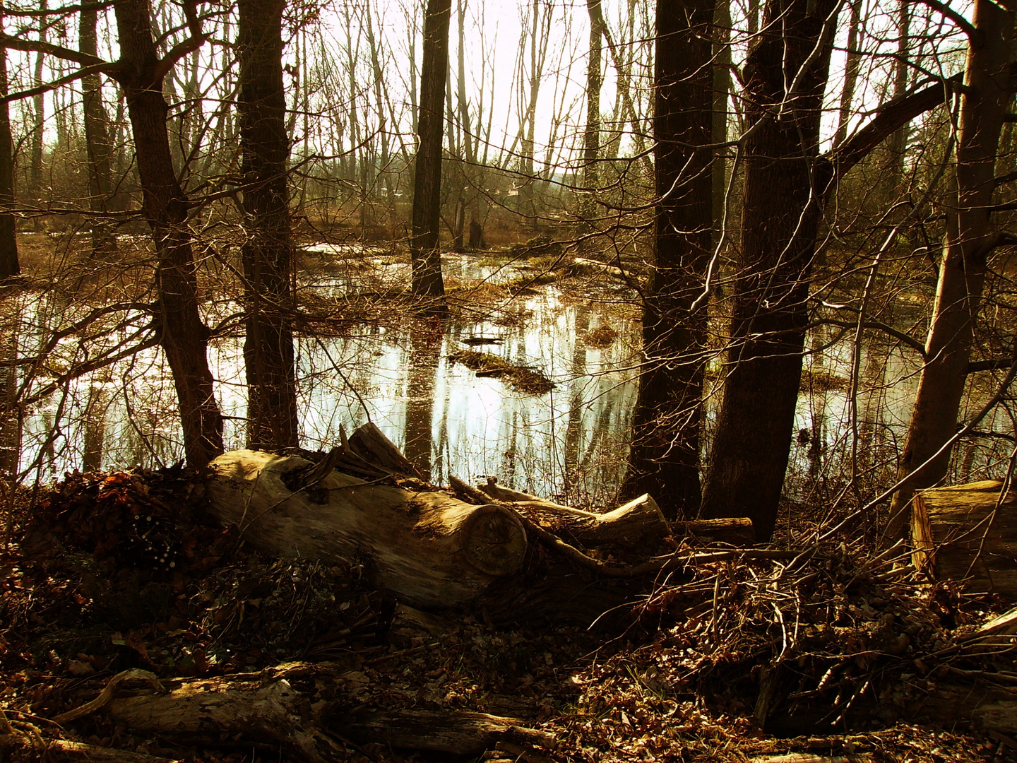 Nostalgische Moorlandschaft