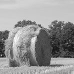 Nostalgischer Stohrundballen