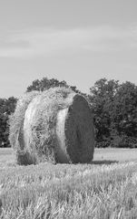 Nostalgischer Stohrundballen