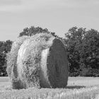 Nostalgischer Stohrundballen