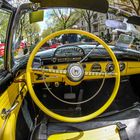Not just a yellow steering wheel