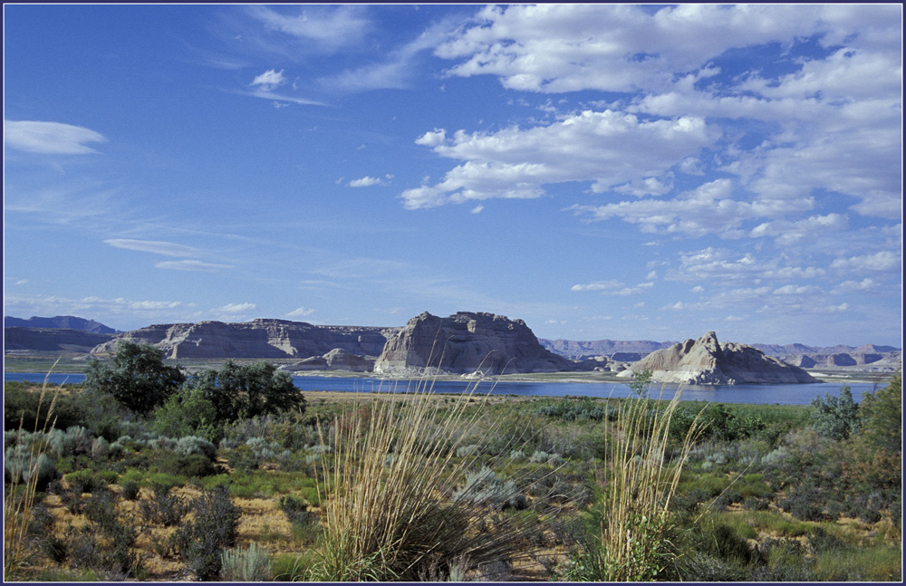 Not only stone and rock - Lake Powell