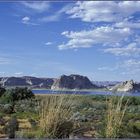 Not only stone and rock - Lake Powell