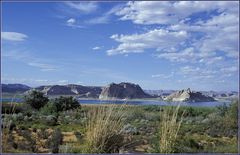 Not only stone and rock - Lake Powell