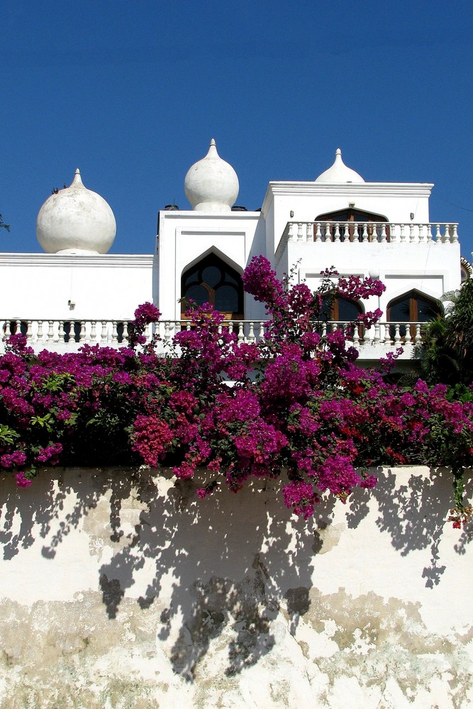 Not the Taj Mahal - Mexican Colours