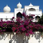 Not the Taj Mahal - Mexican Colours