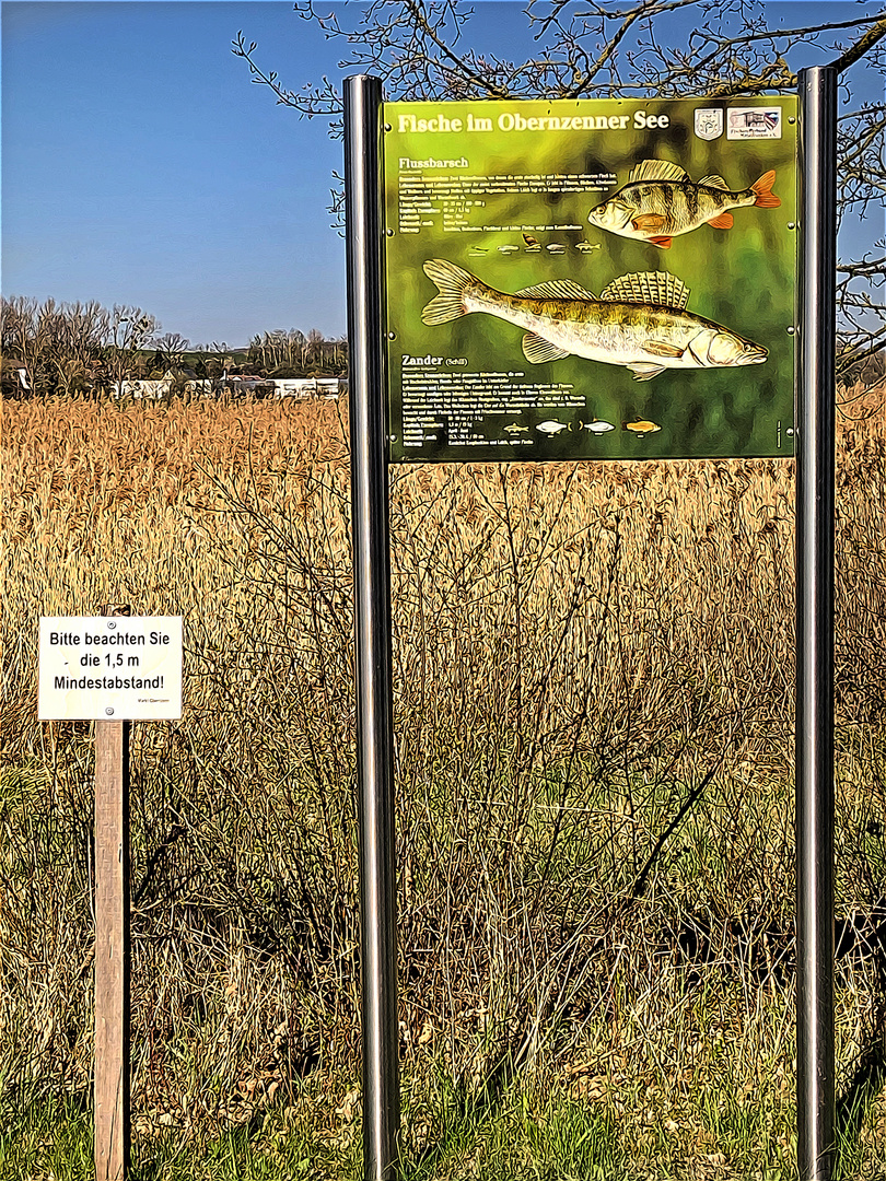 Notbremse gilt auch für Fische