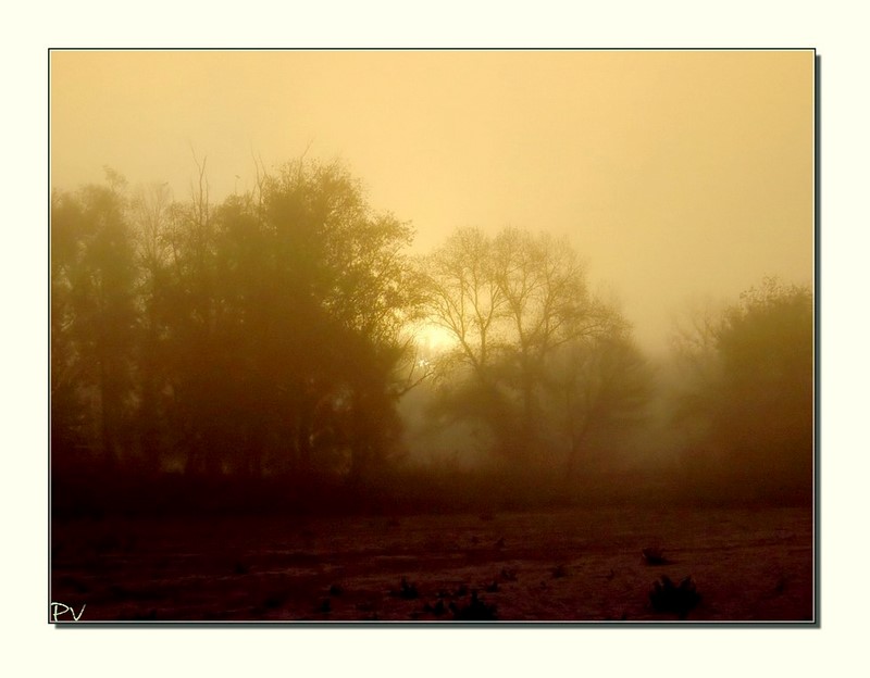 .Notebook of Loire.