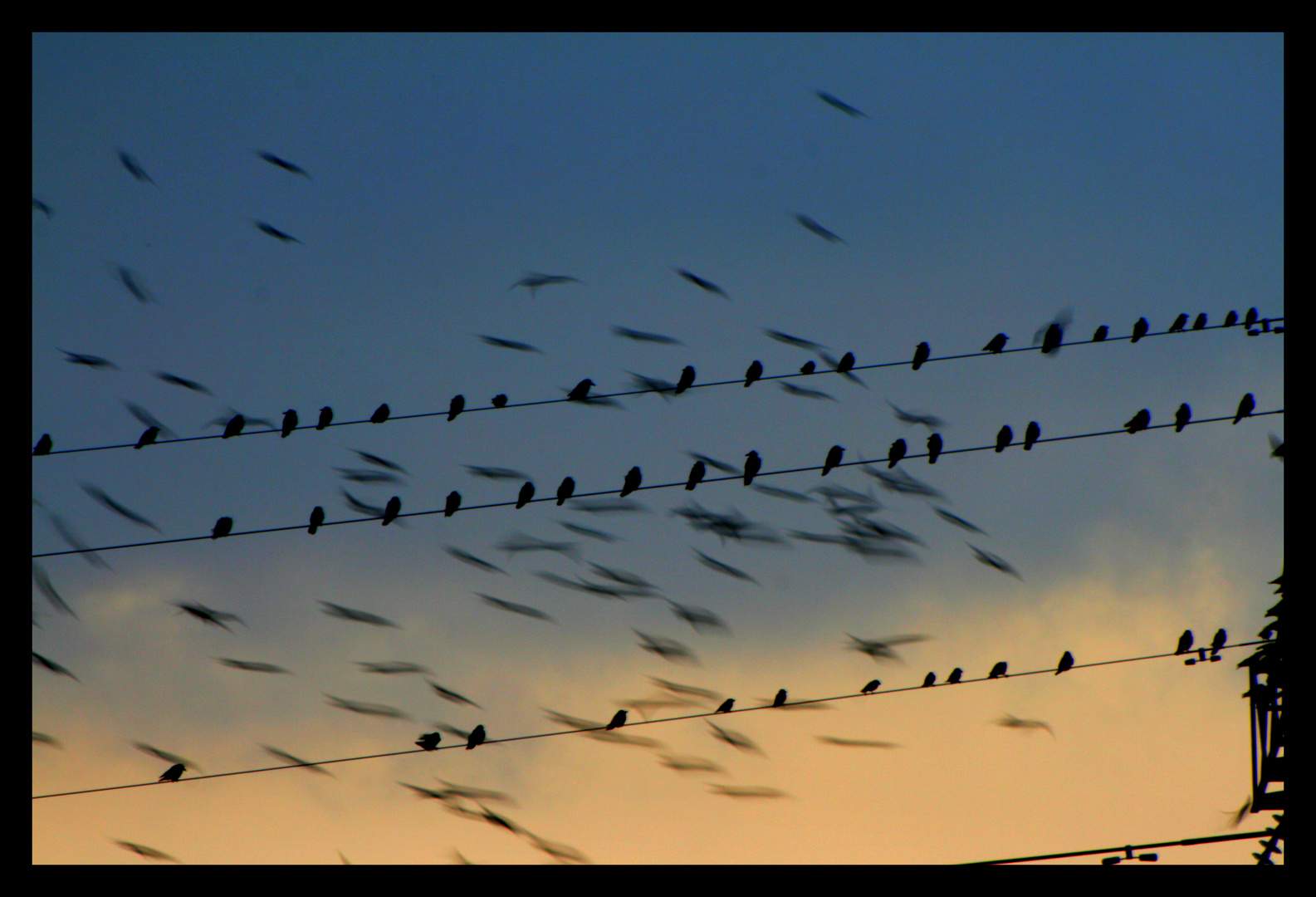 Noten am Himmel