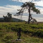 Notenschlüssel auf der Hochheide