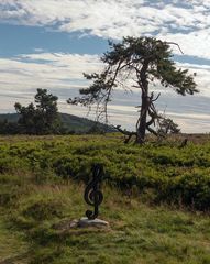 Notenschlüssel auf der Hochheide